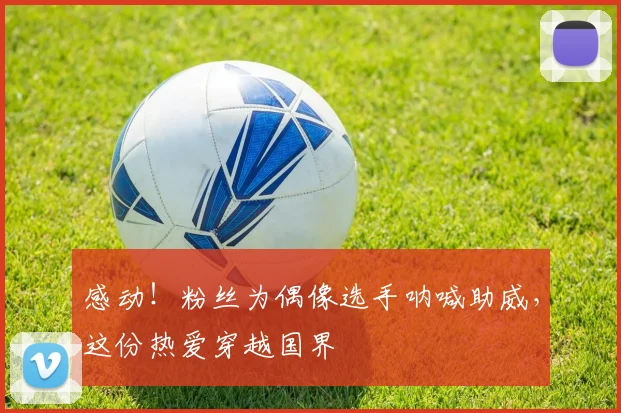 感动！粉丝为偶像选手呐喊助威，这份热爱穿越国界